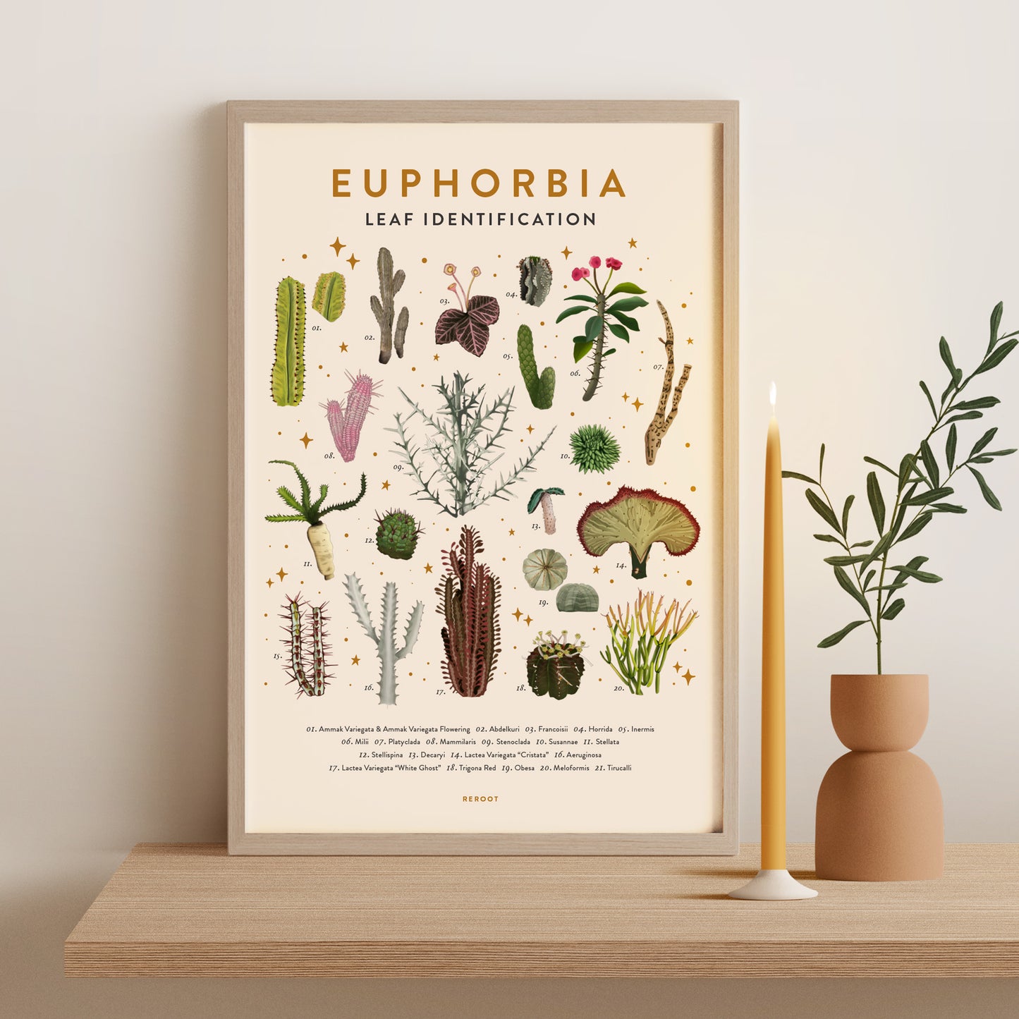 Euphorbia Poster