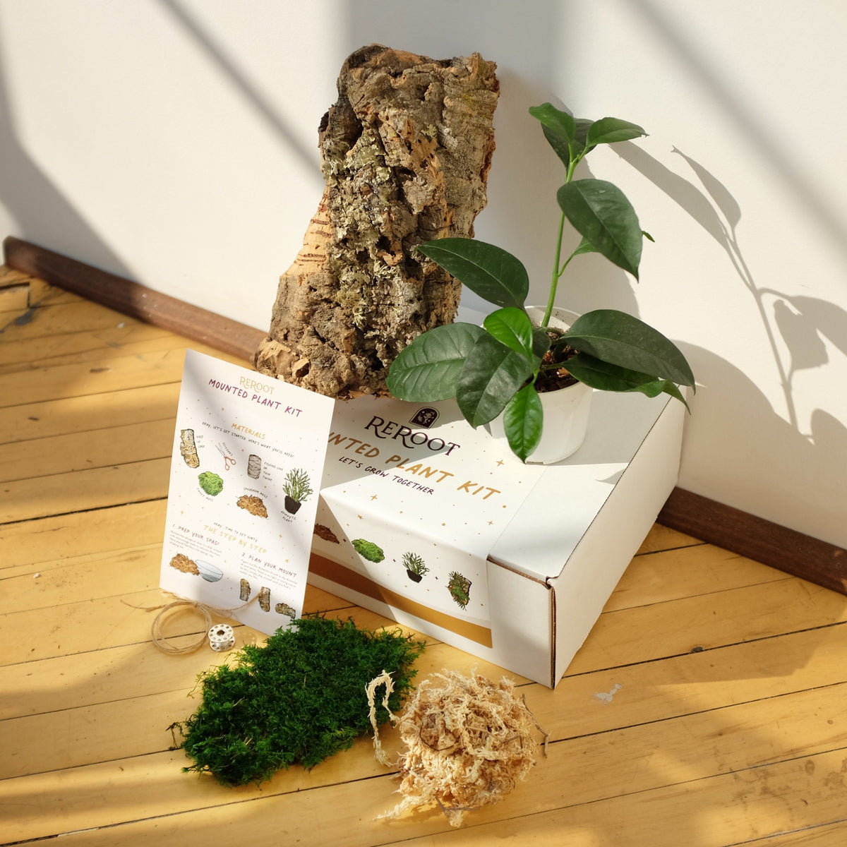 Mounted Plant Kit