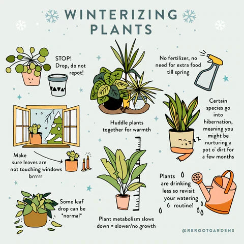 https://www.rerootgardens.com/cdn/shop/articles/winterizing_7d19aa9c-3578-4f2e-bf88-d16e41d035e6_550x.webp?v=1738859561&utm_source=chatgpt.com
