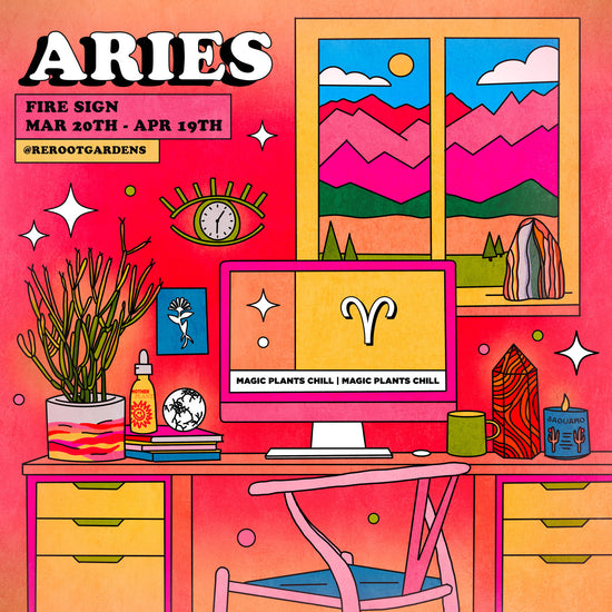 ARIES GIFT GUIDE