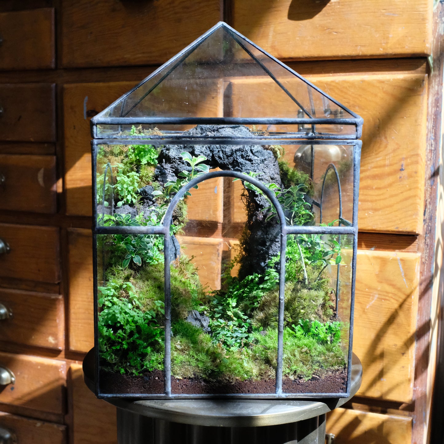 Glass terrarium with green plants on a wooden surface