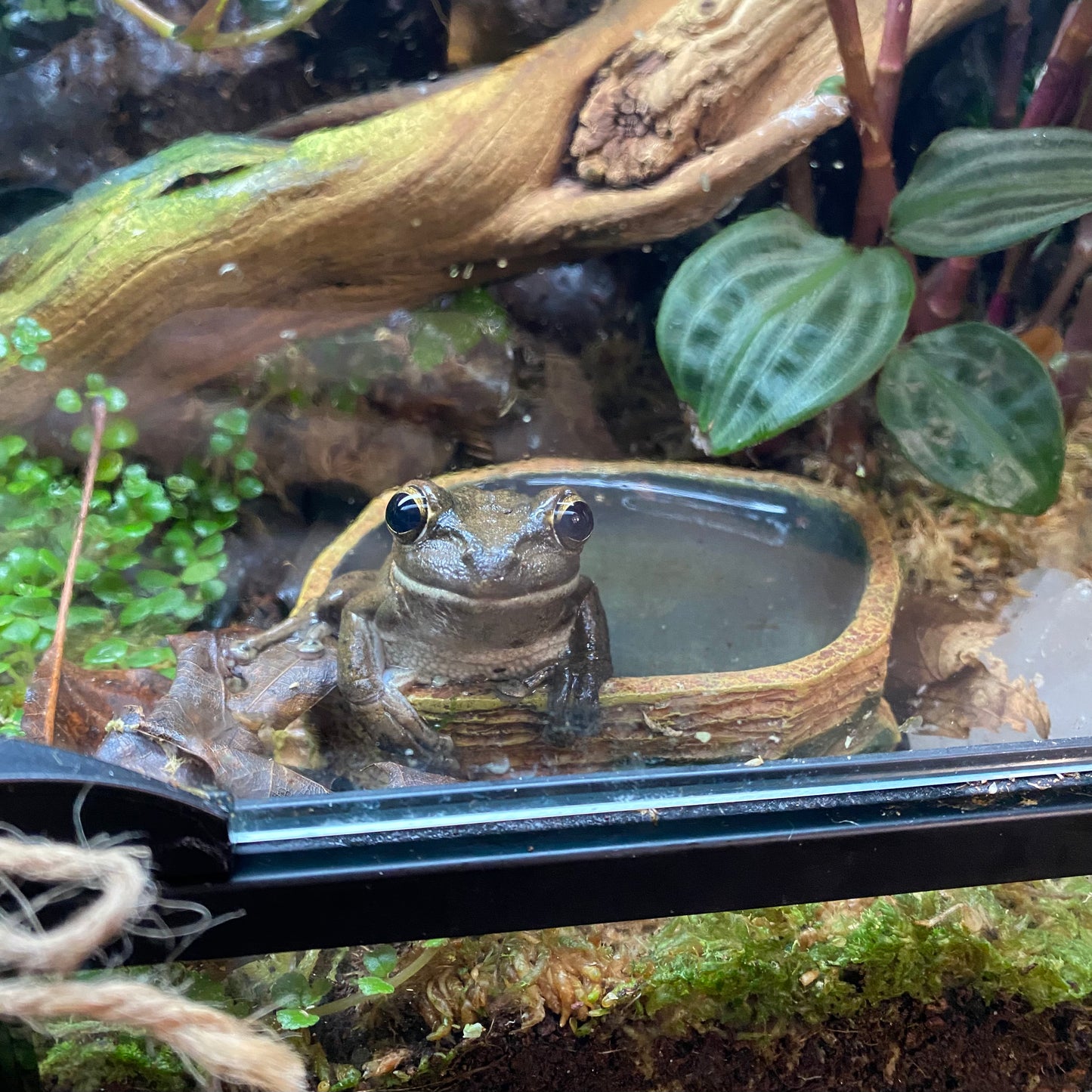 ReRoot Gardens – rerootgardens