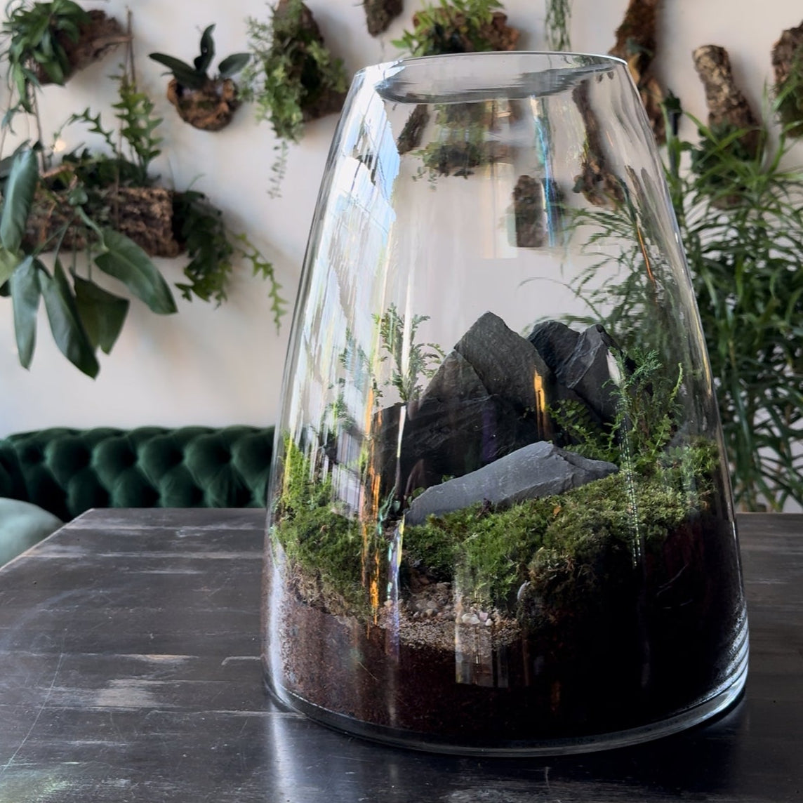 Terrarium with plants and rocks on a wooden table, wall with more plants in the background