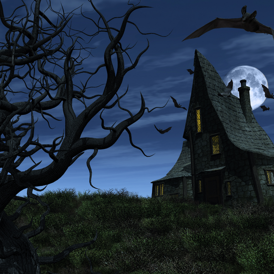 10/29 Halloween Terrarium: Witches House