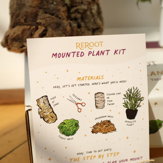 Mounted Plant Kit