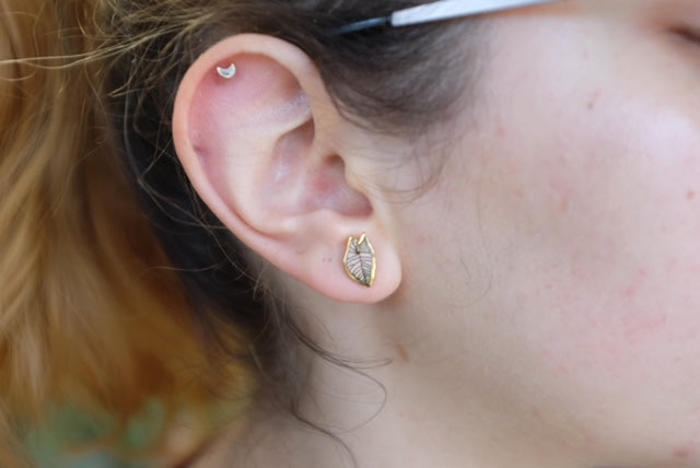 Syngonium Stud Earring