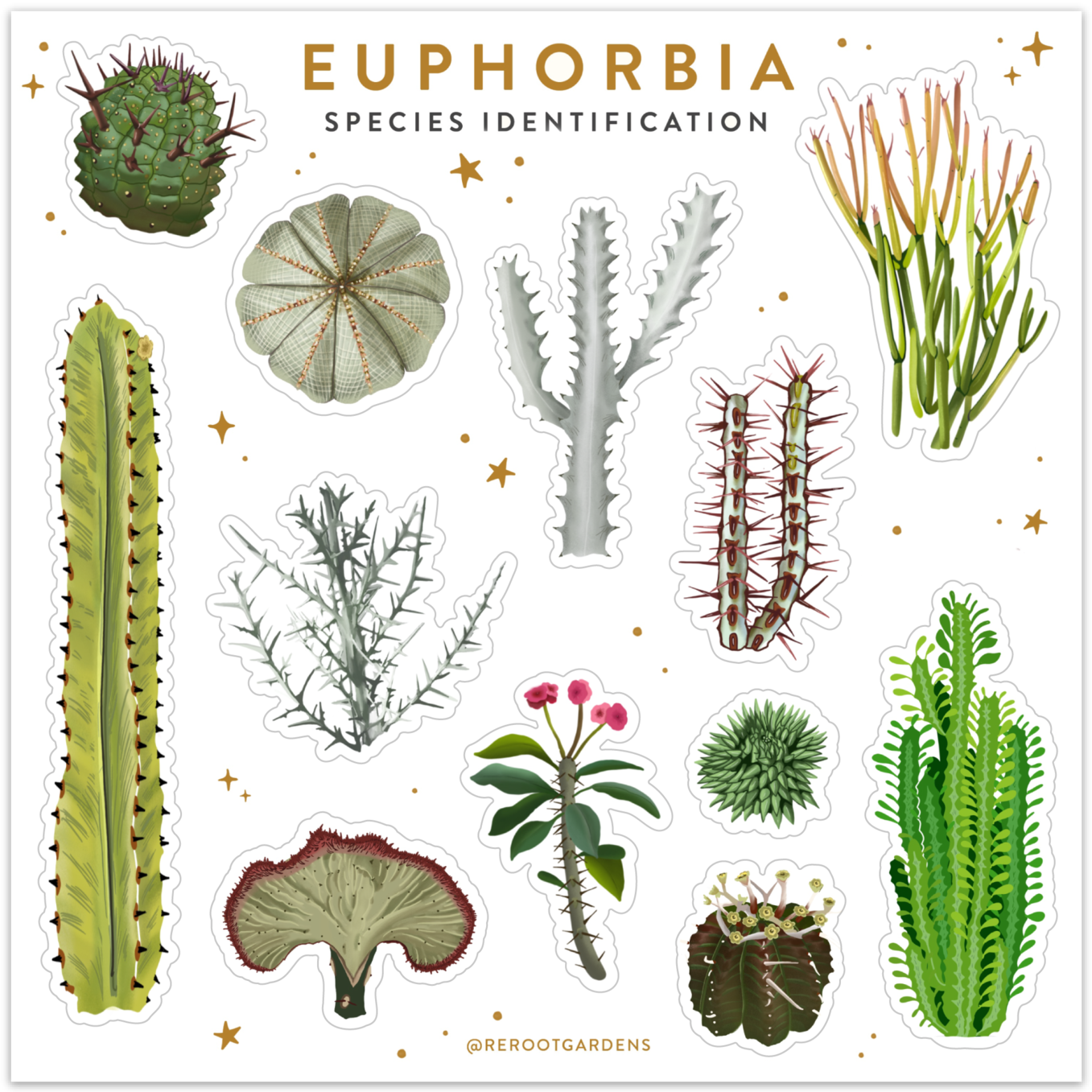 Load image into Gallery viewer, Euphorbia Sticker Sheet
