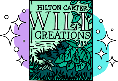 Wild Creations by HIlton Carter