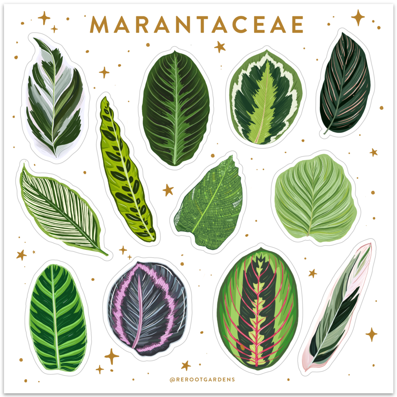 Marantaceae Sticker Sheet