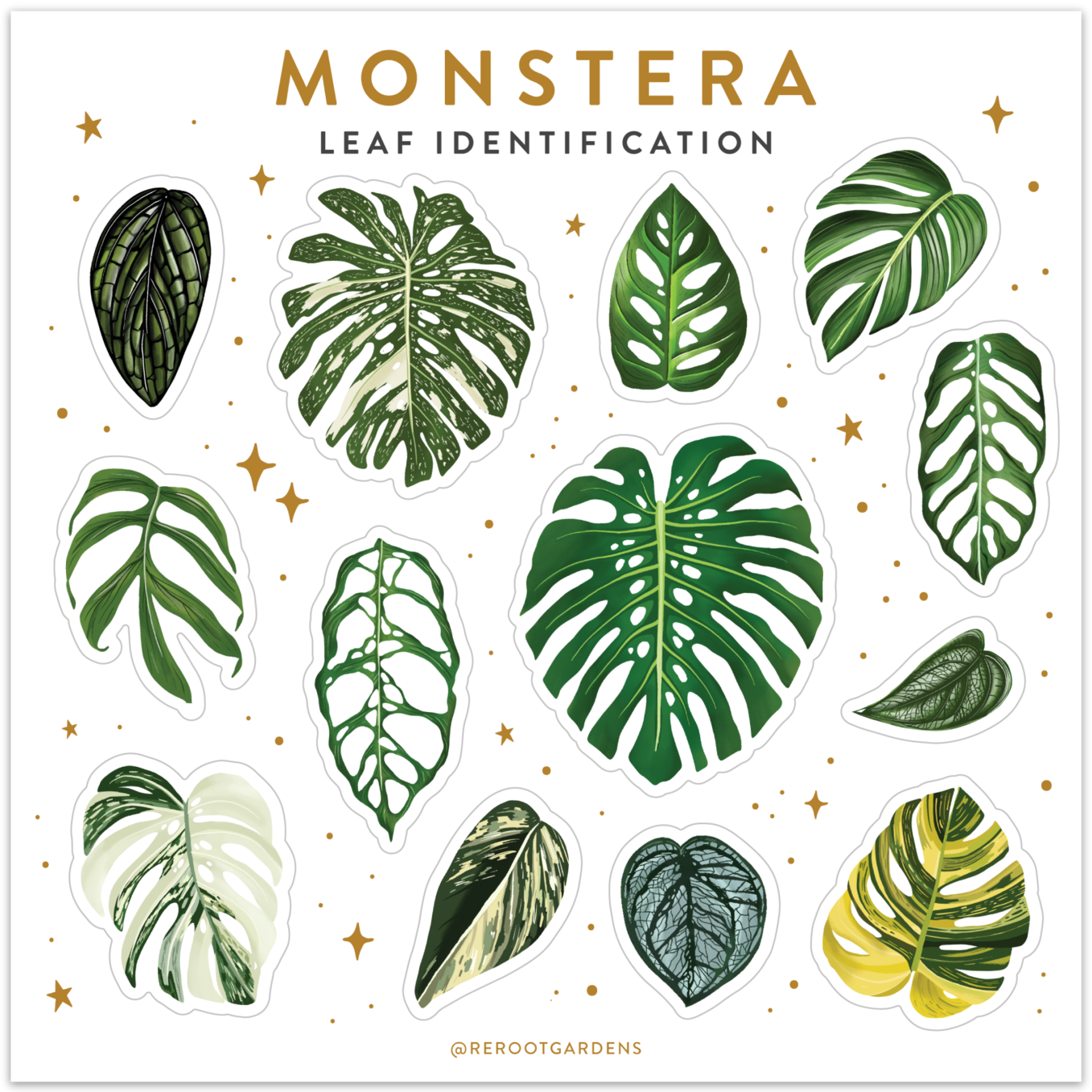 Load image into Gallery viewer, Monstera Sticker Sheet
