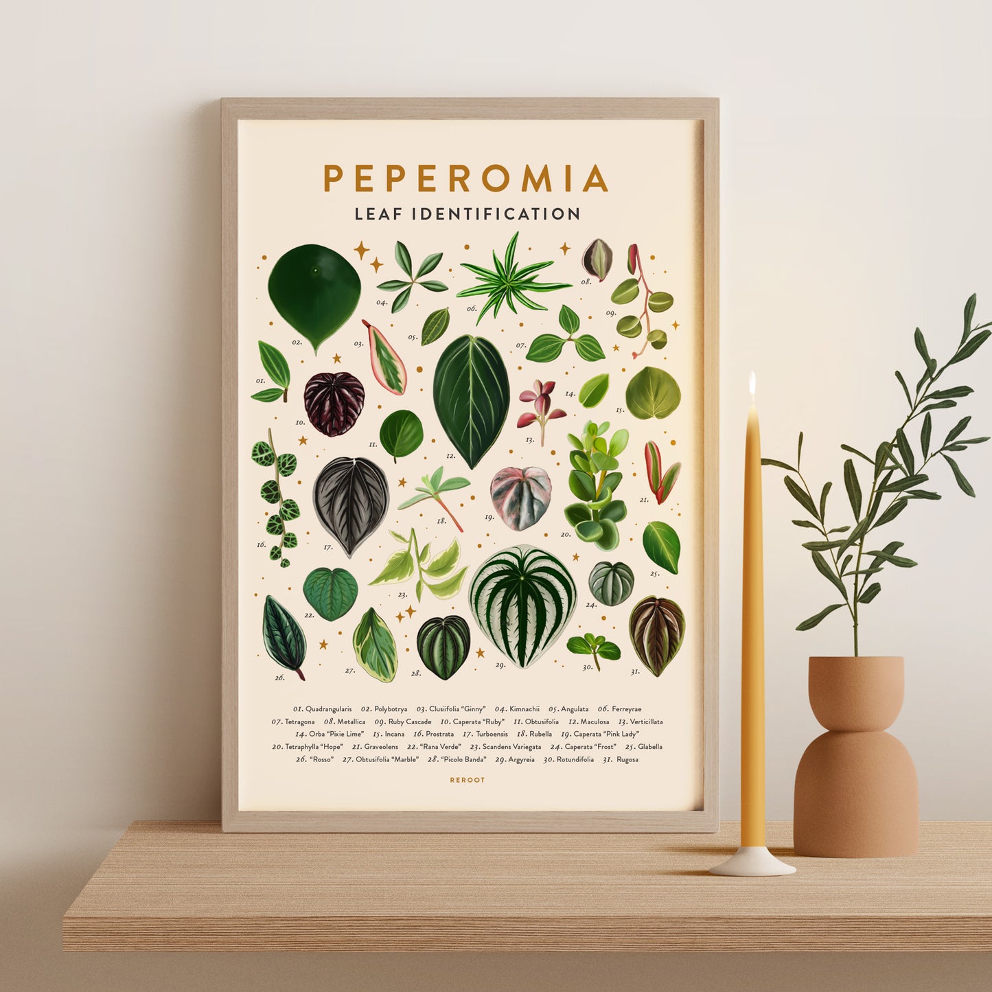 Load image into Gallery viewer, Peperomia Poster
