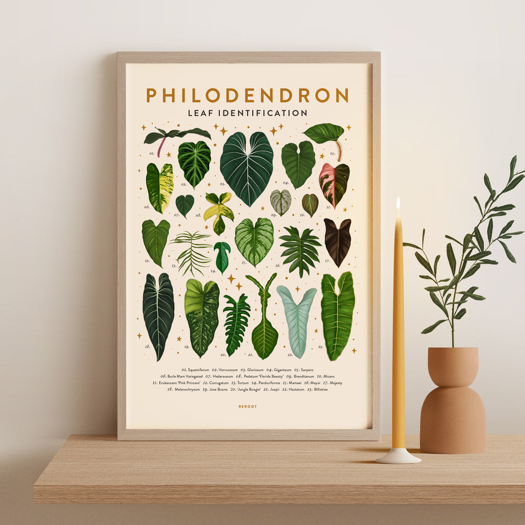 philodendron and animals Philodendron Poster – rerootgardens