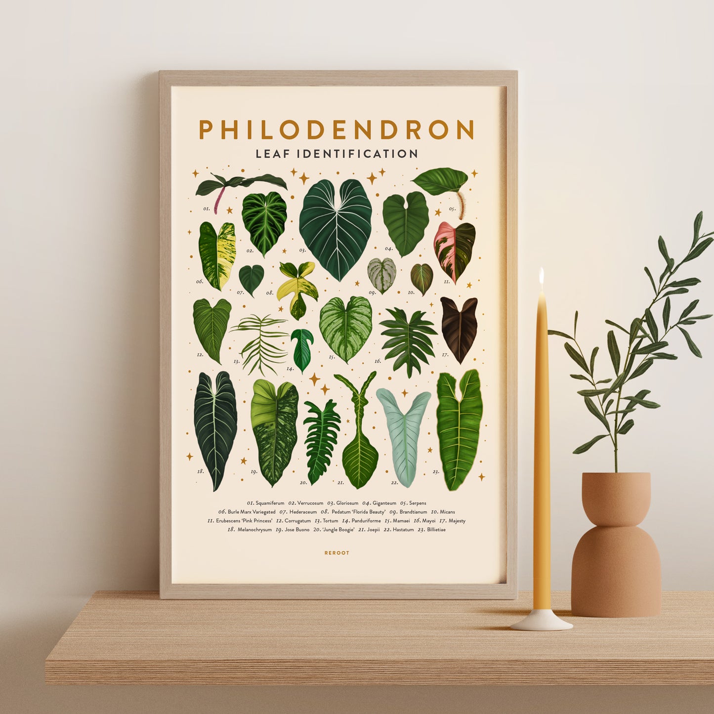 philodendron encyclopedia Philodendron Poster – rerootgardens