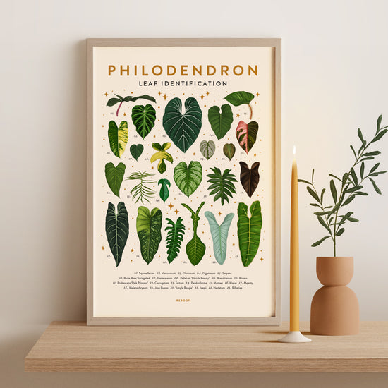 Load image into Gallery viewer, Philodendron Poster
