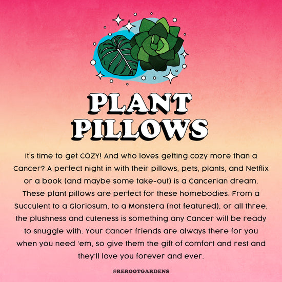 Succulent Plush Pillow