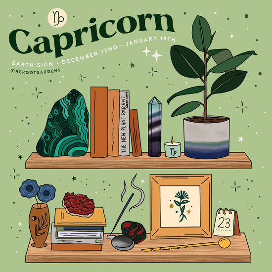 Capricorn Plant Parent Bundle