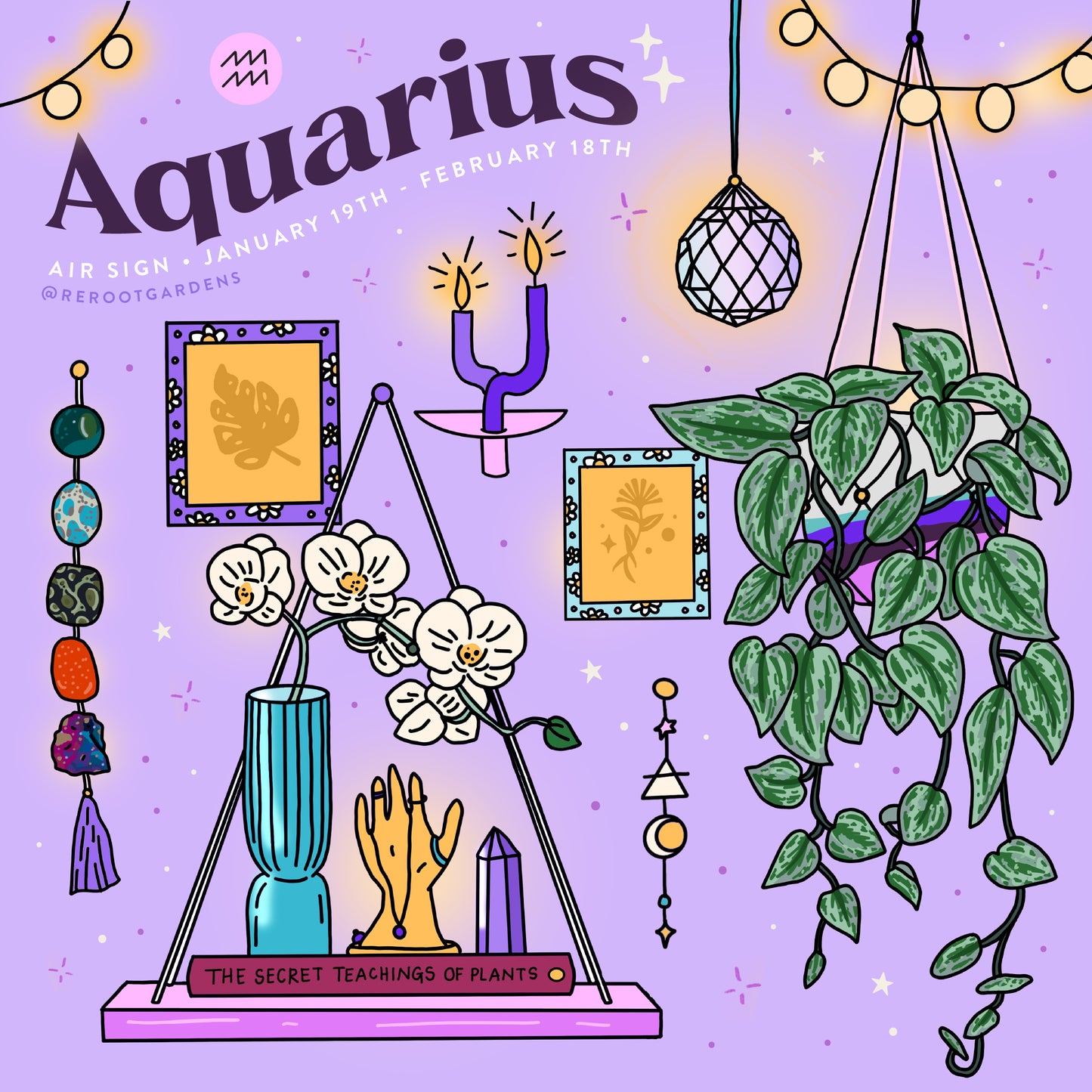 Aquarius Plant Parent Bundle