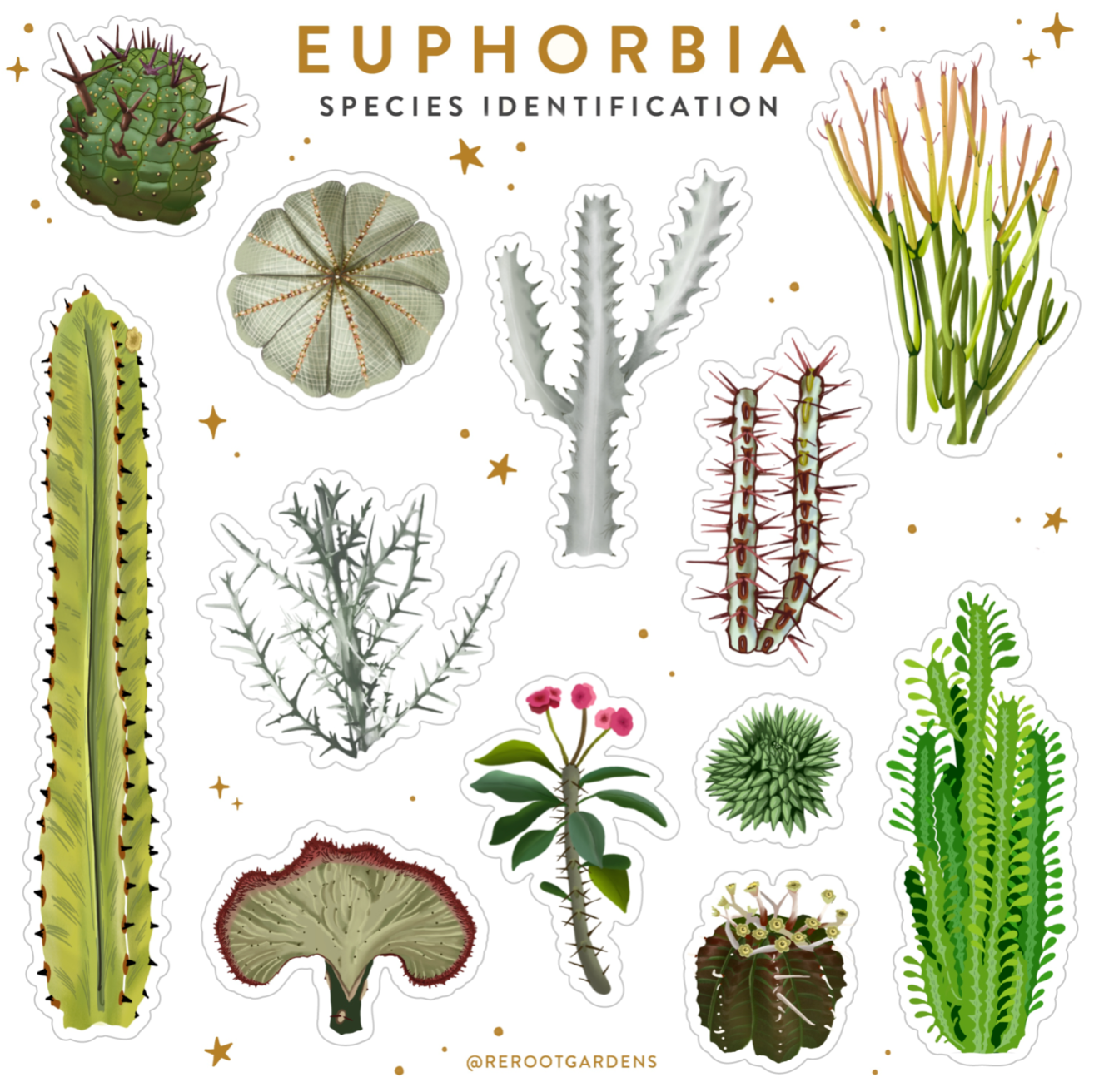 Euphorbia Sticker Sheet