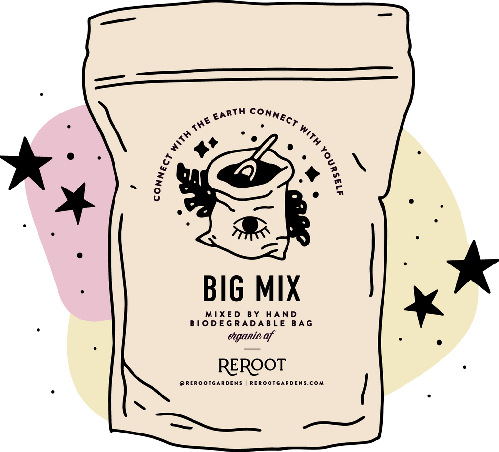 サイン付きポラロイド　earthmix サイン付きポラロイドearthmix