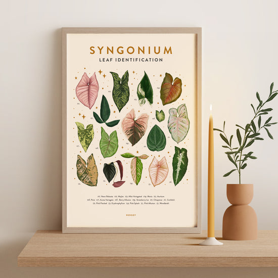 Load image into Gallery viewer, Syngonium Poster
